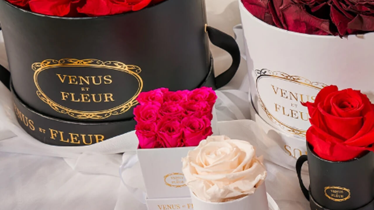 Ricordami vs. Venus Et Fleur Which Preserved Rose Brand Should You Buy From?